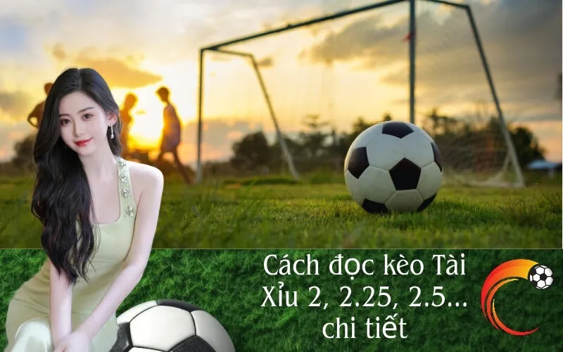 Cách đọc kèo Tài Xỉu 2, 2.25, 2.5... chi tiết