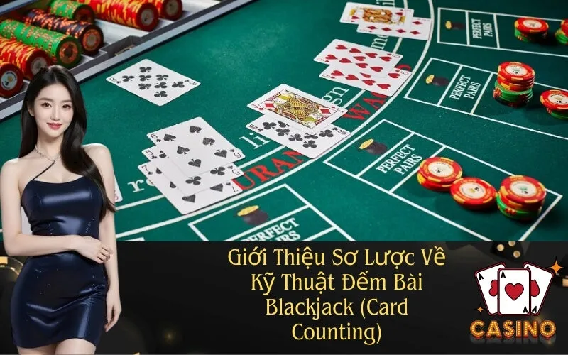 Giới Thiệu Sơ Lược Về Kỹ Thuật Đếm Bài Blackjack (Card Counting)